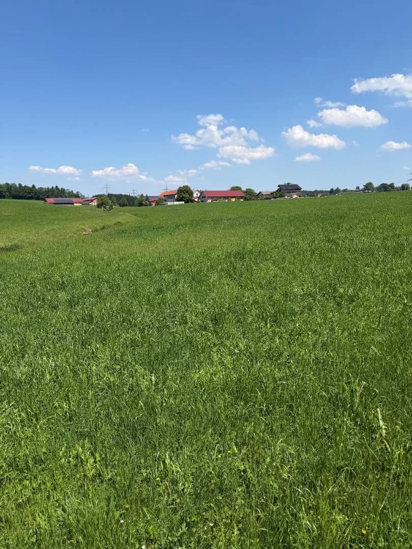 4-Zimmer-Haus kaufen in Salzburg-Umgebung – 160 m², € 540.000 – Bild 7 von 10