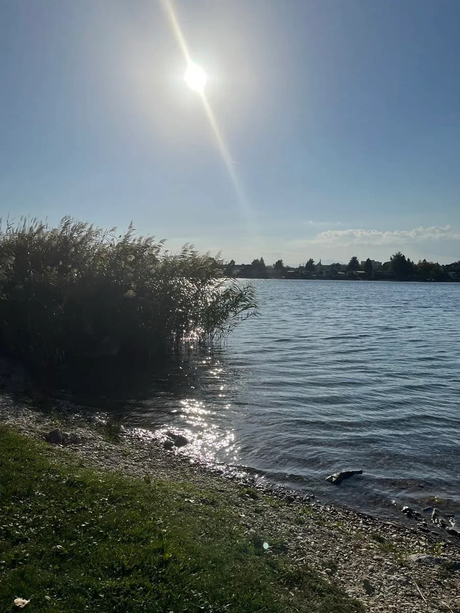 Immobilie kaufen in Eisenstadt - Umgebung – 24 m², € 49.900 – Bild 15 von 17