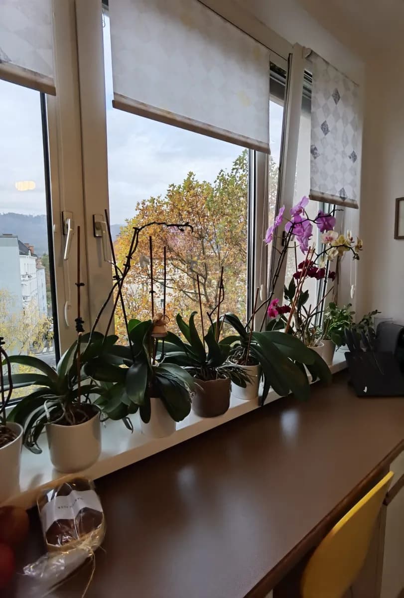 2-Zimmer-Wohnung mieten in Graz – 62 m², € 800 – Bild 2 von 43