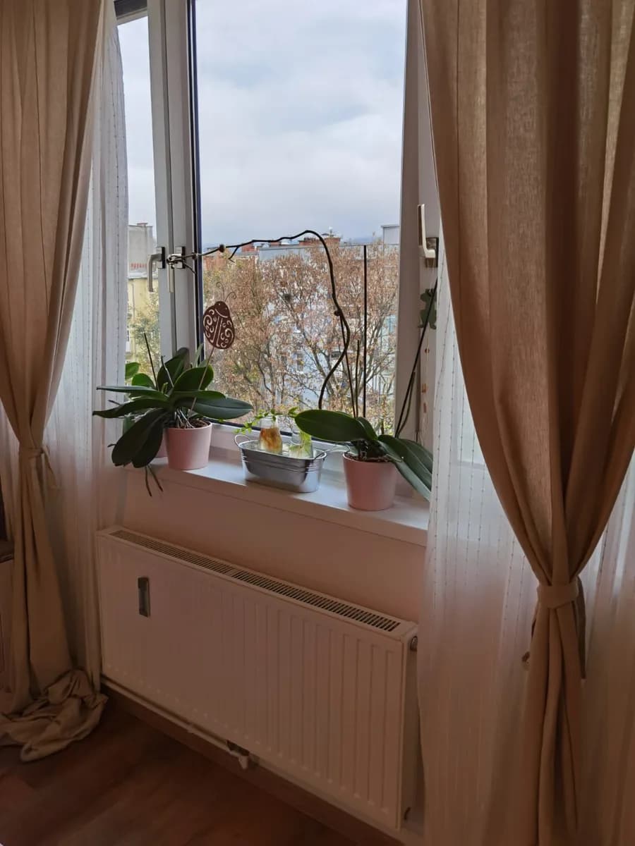 2-Zimmer-Wohnung mieten in Graz – 62 m², € 800 – Bild 30 von 43