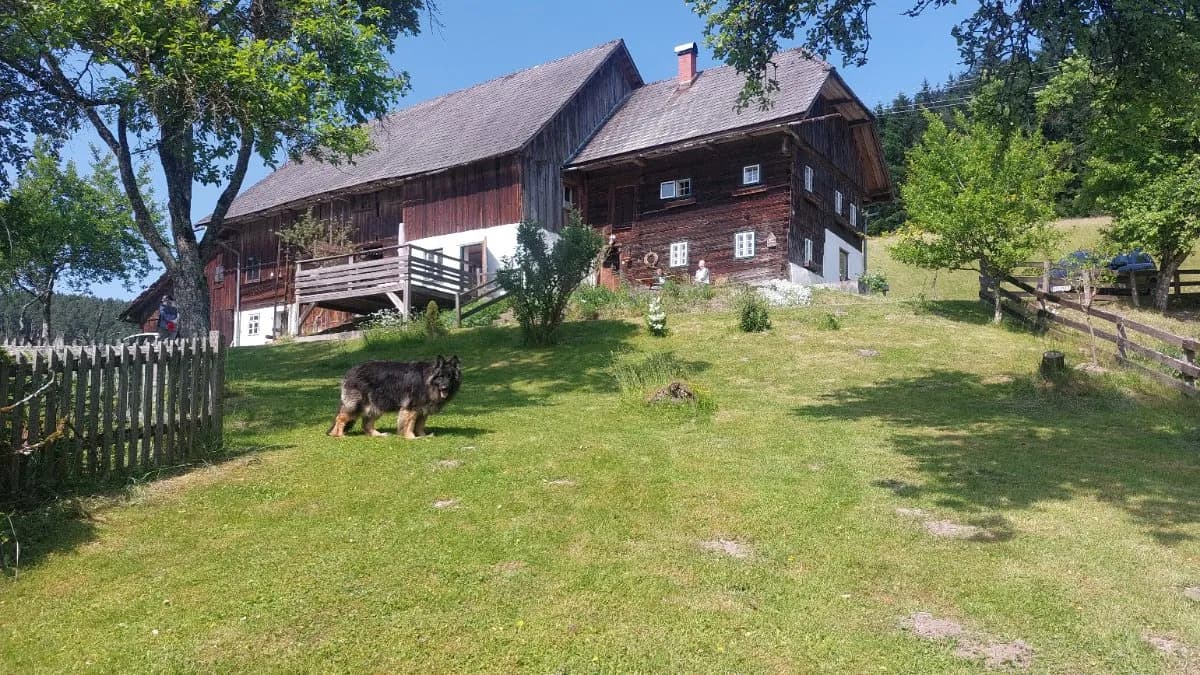 Immobilie mieten in Grieskirchen – 110 m², € 790 – Bild 1 von 9