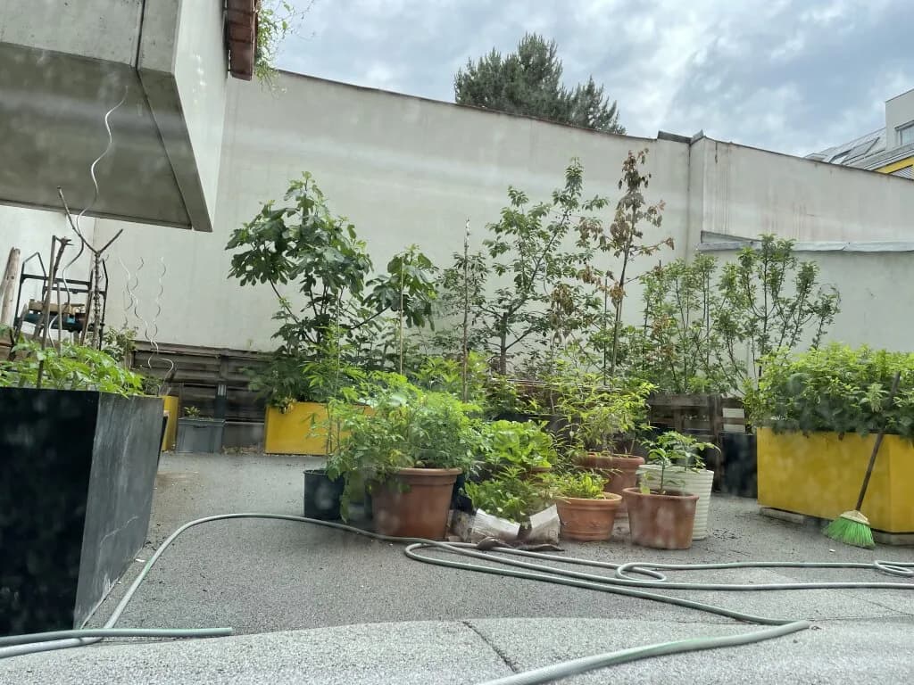 4-Zimmer-Wohnung mieten in Wien – 100,11 m², € 2.350 – Bild 23 von 25