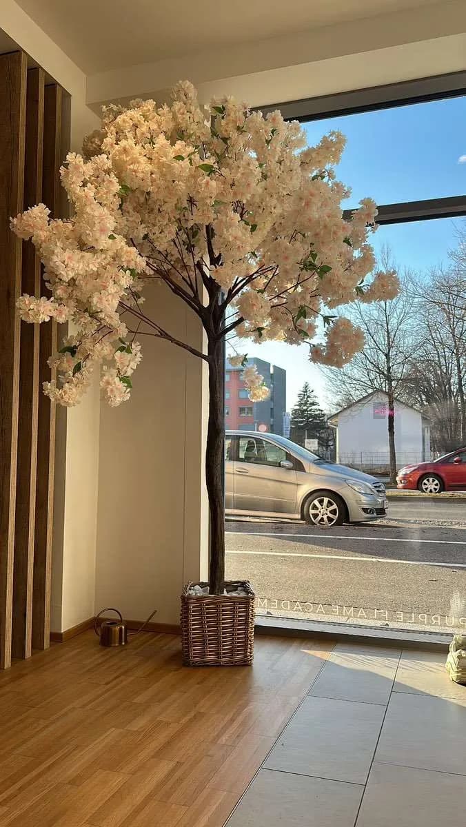 4-Zimmer-Gewerbeimmobilie mieten in Klagenfurt – 70 m², € 1.460 – Bild 2 von 9