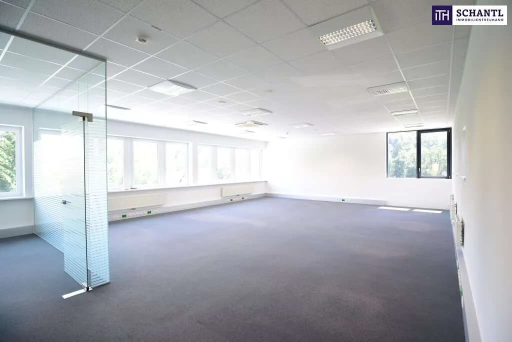 Gewerbeimmobilie mieten in Graz-Umgebung – 425 m², € 8.092 – Bild 14 von 32