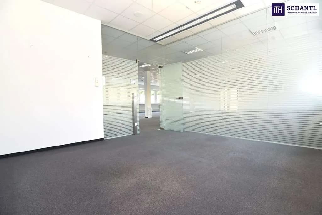 Gewerbeimmobilie mieten in Graz-Umgebung – 425 m², € 8.092 – Bild 27 von 32