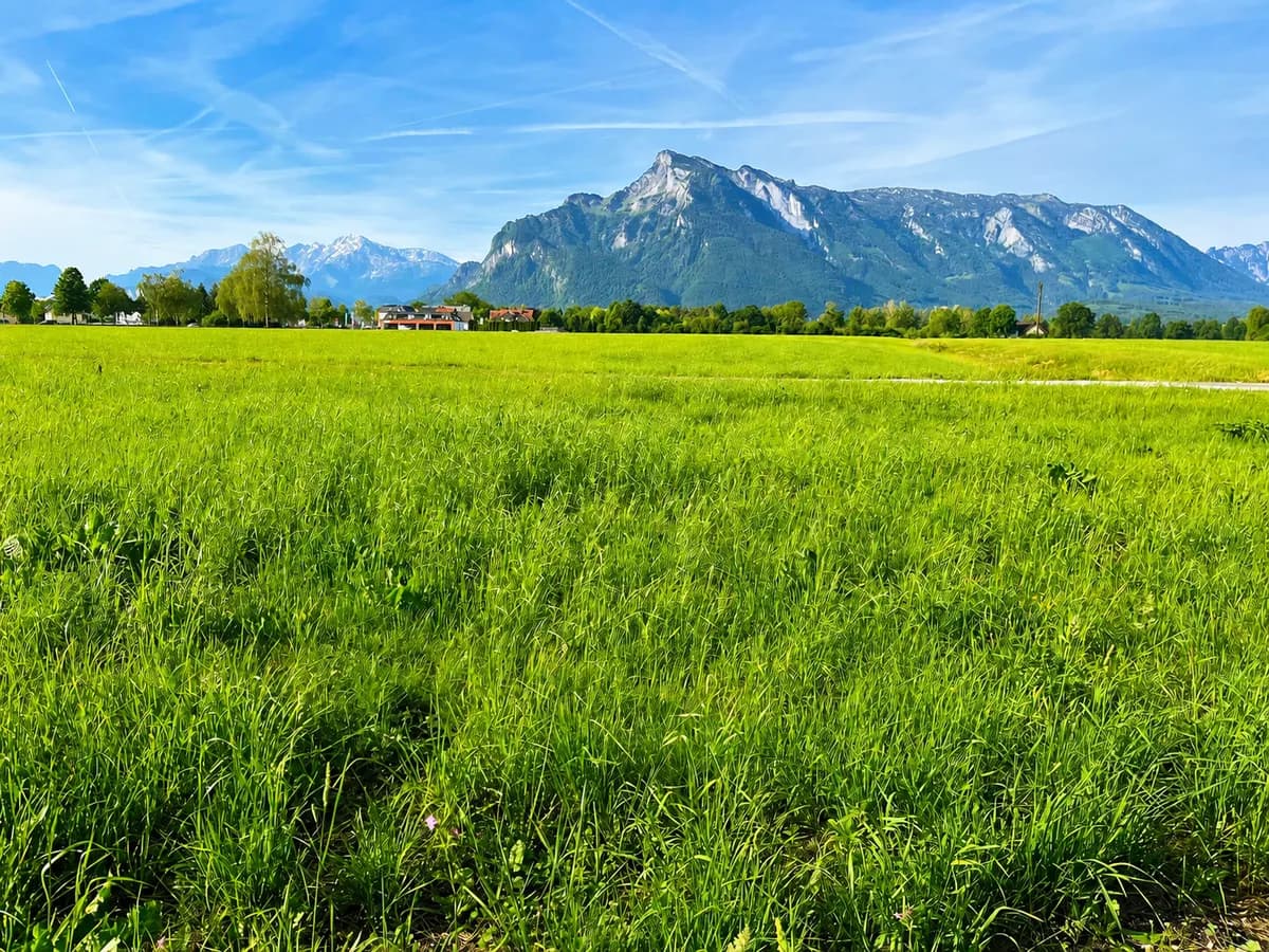 4-Zimmer-Wohnung kaufen in Salzburg Stadt – 120 m², € 1.400.000 – Bild 2 von 4