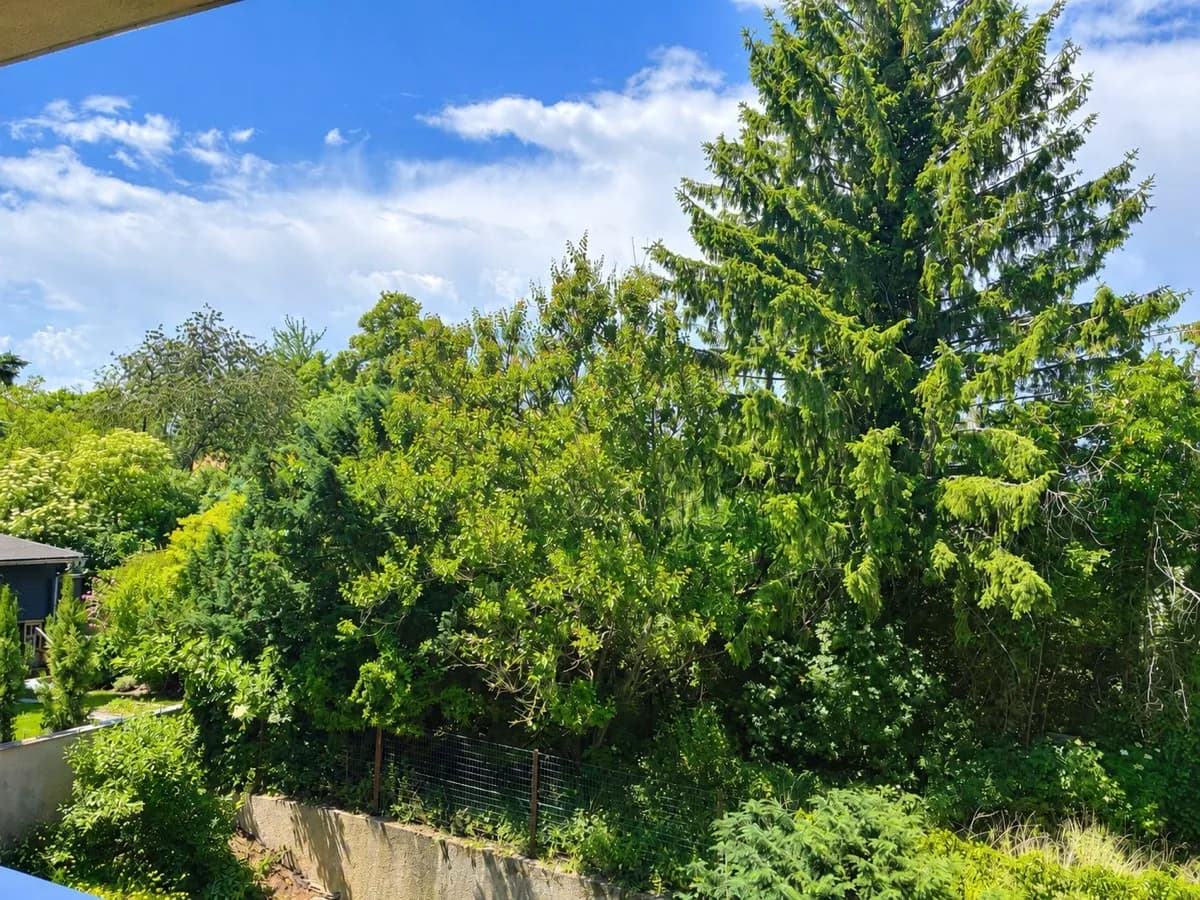 4-Zimmer-Wohnung kaufen in Mistelbach – 81 m², € 319.000 – Bild 3 von 13