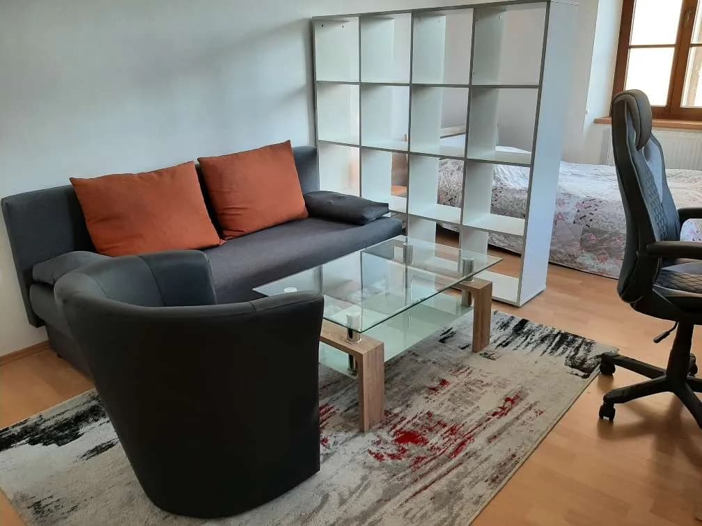 1-Zimmer-Wohnung mieten in Krems Land – 22 m², € 490 – Bild 2 von 14