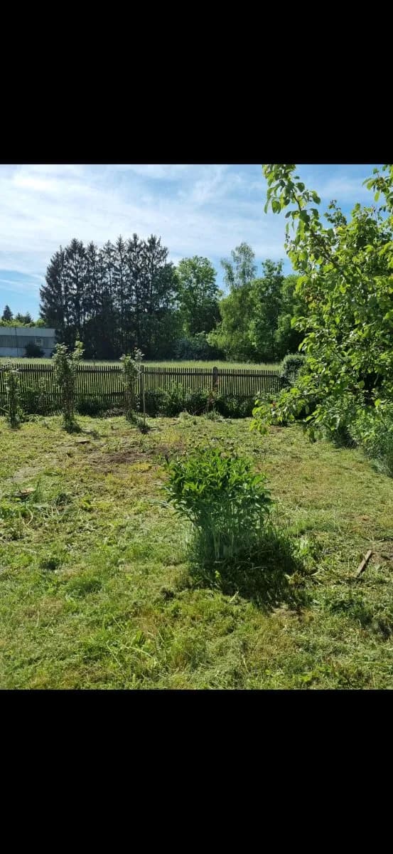 Haus mieten in Amstetten – 100 m², € 1.190 – Bild 22 von 25