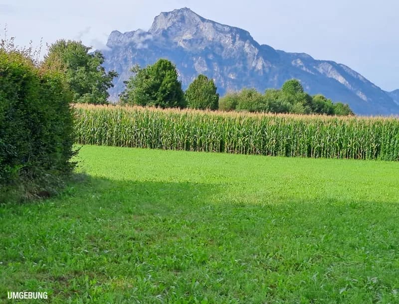 3-Zimmer-Wohnung mieten in Salzburg Stadt – 95,59 m², € 1.650 – Bild 6 von 6