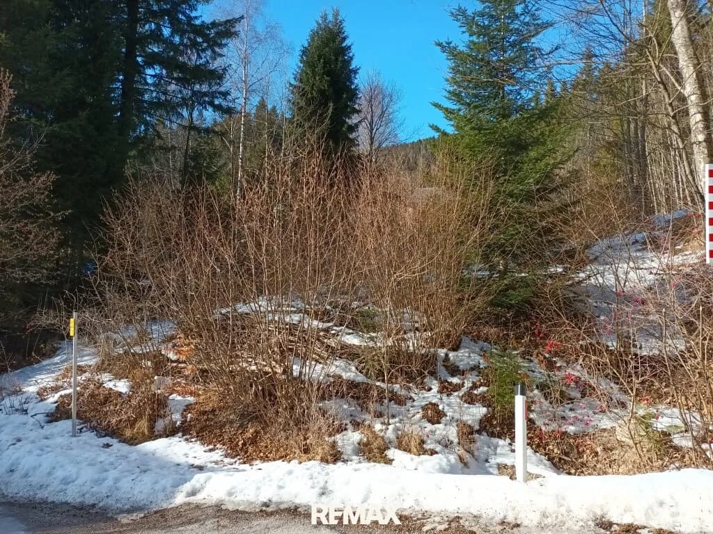Grundstück kaufen in Bruck-Mürzzuschlag – 798 m², € 79.900 – Bild 11 von 13