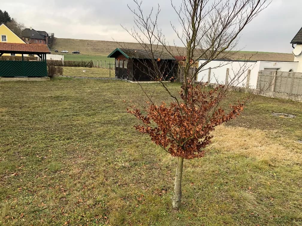 Grundstück kaufen in Sankt Pölten Land – 750 m², € 157.500 – Bild 2 von 2