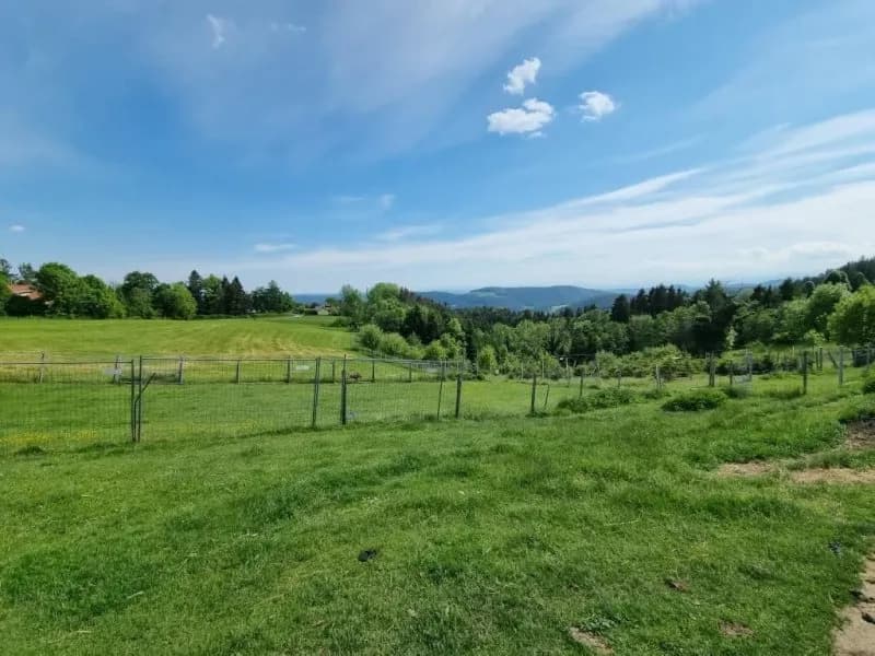 Immobilie kaufen in Graz-Umgebung – 53 000 m², € 199.000 – Bild 2 von 7