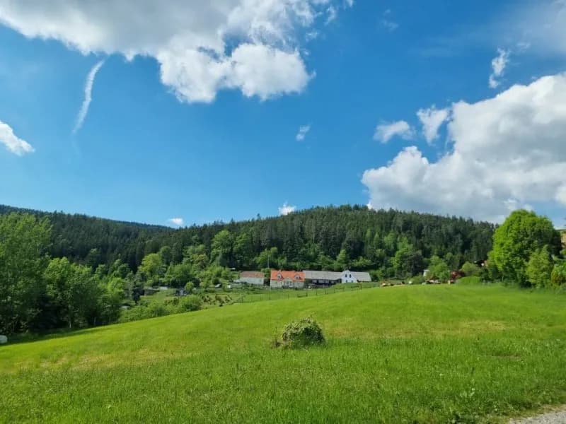 Immobilie kaufen in Graz-Umgebung – 53 000 m², € 199.000 – Bild 3 von 7