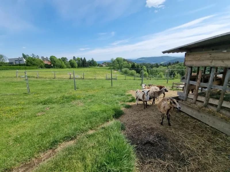 Immobilie kaufen in Graz-Umgebung – 53 000 m², € 199.000 – Bild 4 von 7
