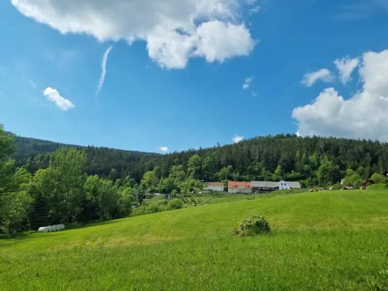 Immobilie kaufen in Graz-Umgebung – 53 000 m², € 199.000 – Bild 6 von 7