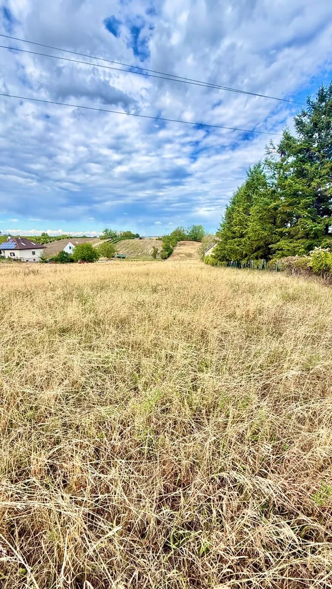 Grundstück kaufen in Gänserndorf – 2 326 m², € 420.000 – Bild 2 von 5