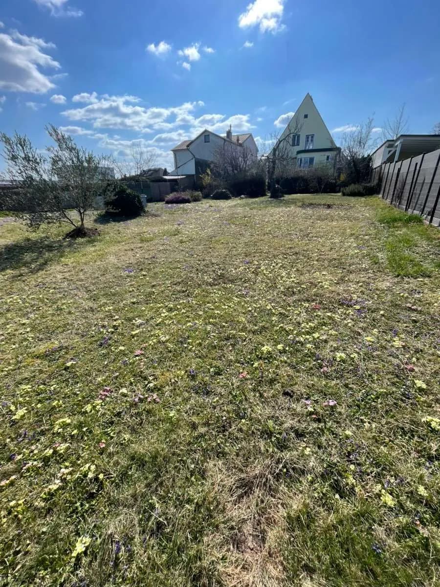 Immobilie mieten in Eisenstadt - Umgebung – 813 m², € 299 – Bild 2 von 12