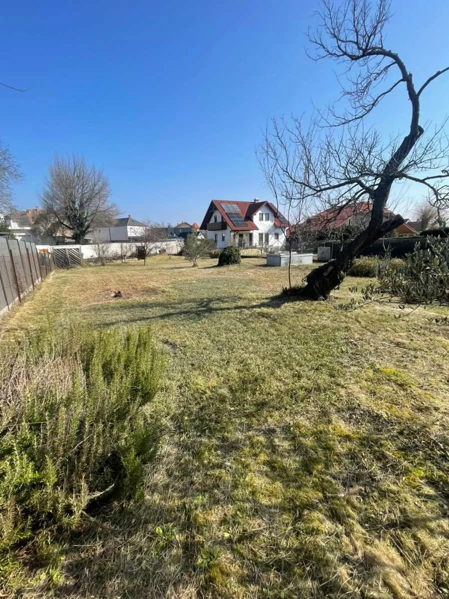 Immobilie mieten in Eisenstadt - Umgebung – 813 m², € 299 – Bild 3 von 12