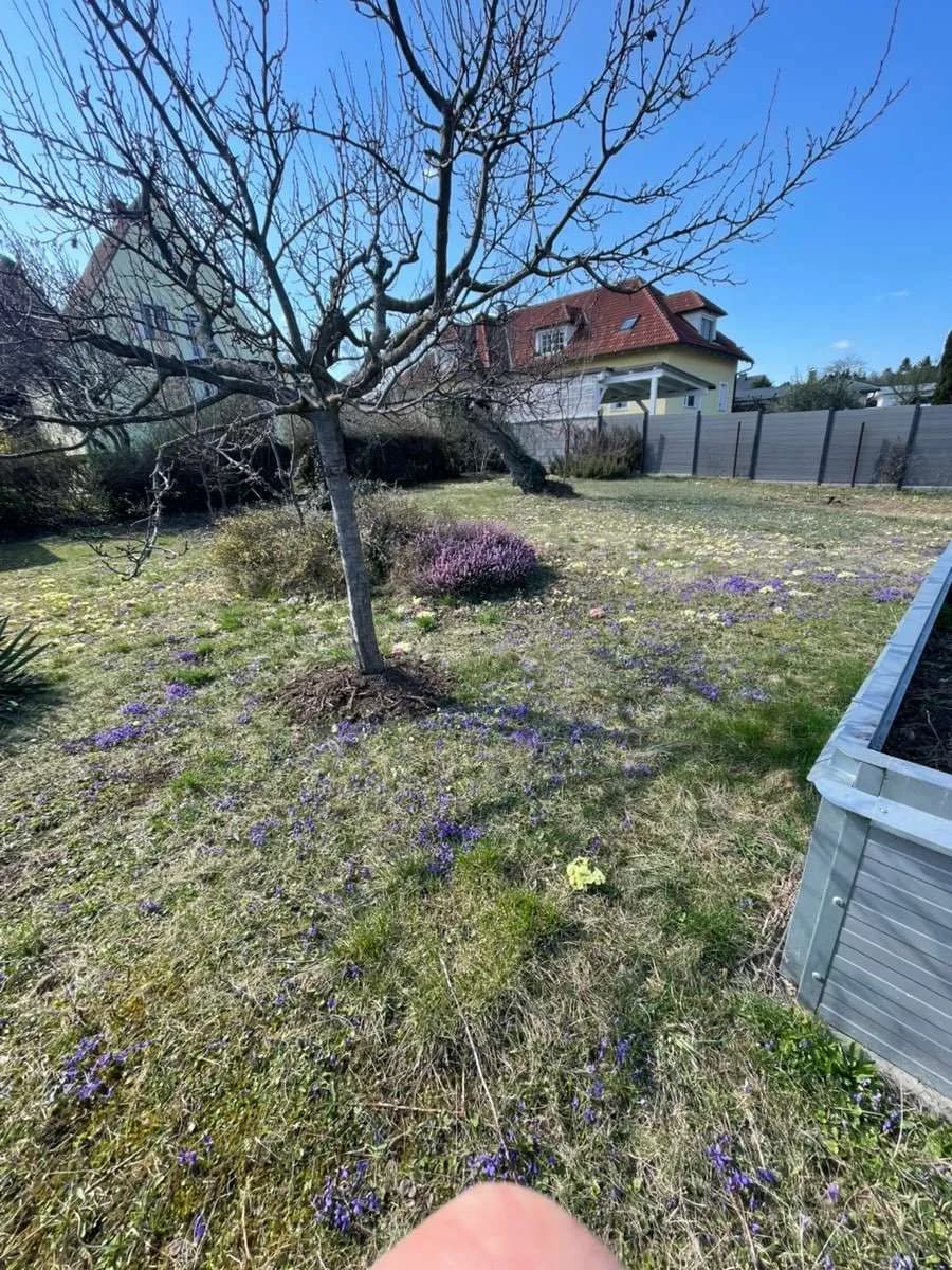 Immobilie mieten in Eisenstadt - Umgebung – 813 m², € 299 – Bild 12 von 12