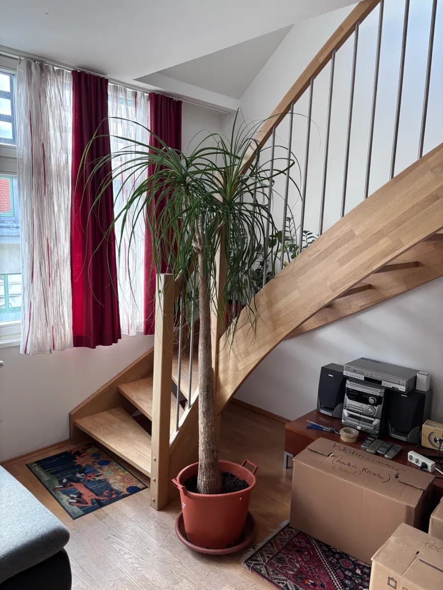 3-Zimmer-Wohnung kaufen in Wien – 86 m², € 540.000 – Bild 11 von 19