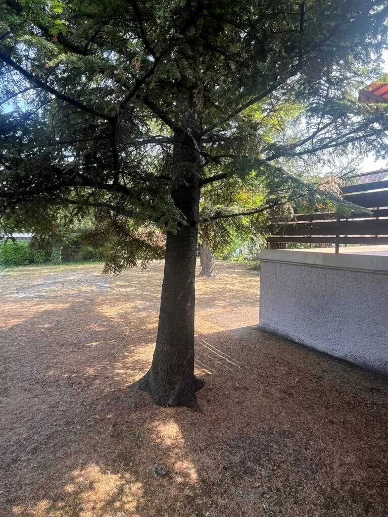 3-Zimmer-Haus kaufen in Mödling – 83 m², € 499.000 – Bild 34 von 36