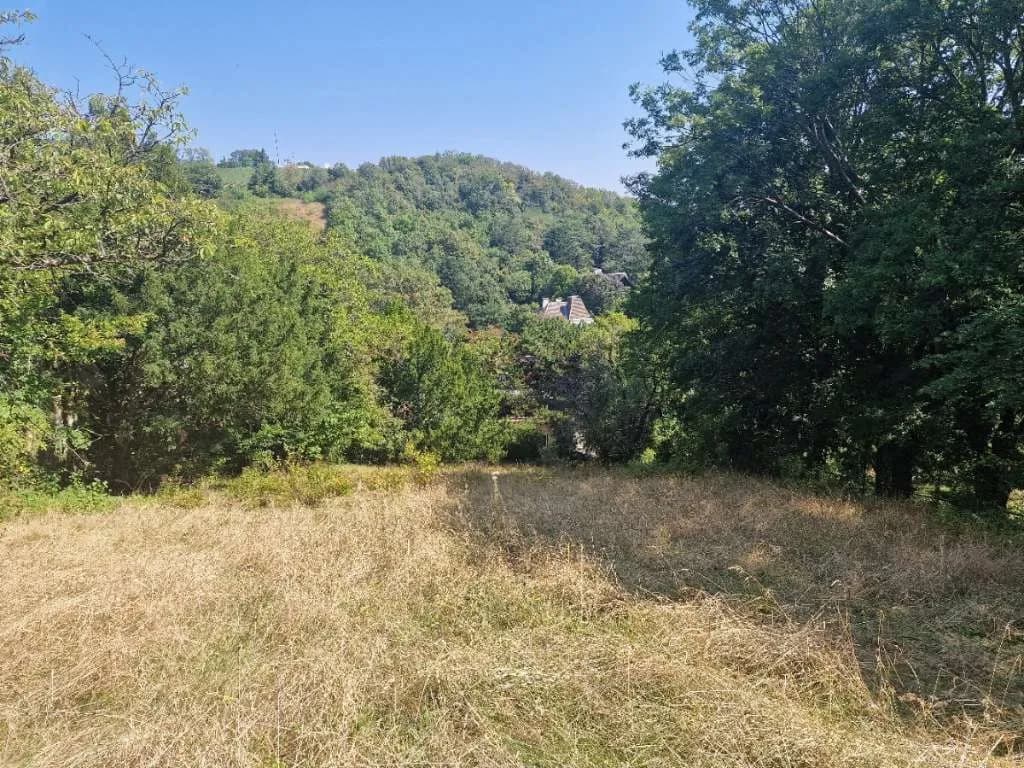 Immobilie kaufen in Wien – 600 m², € 4.900.000 – Bild 3 von 13