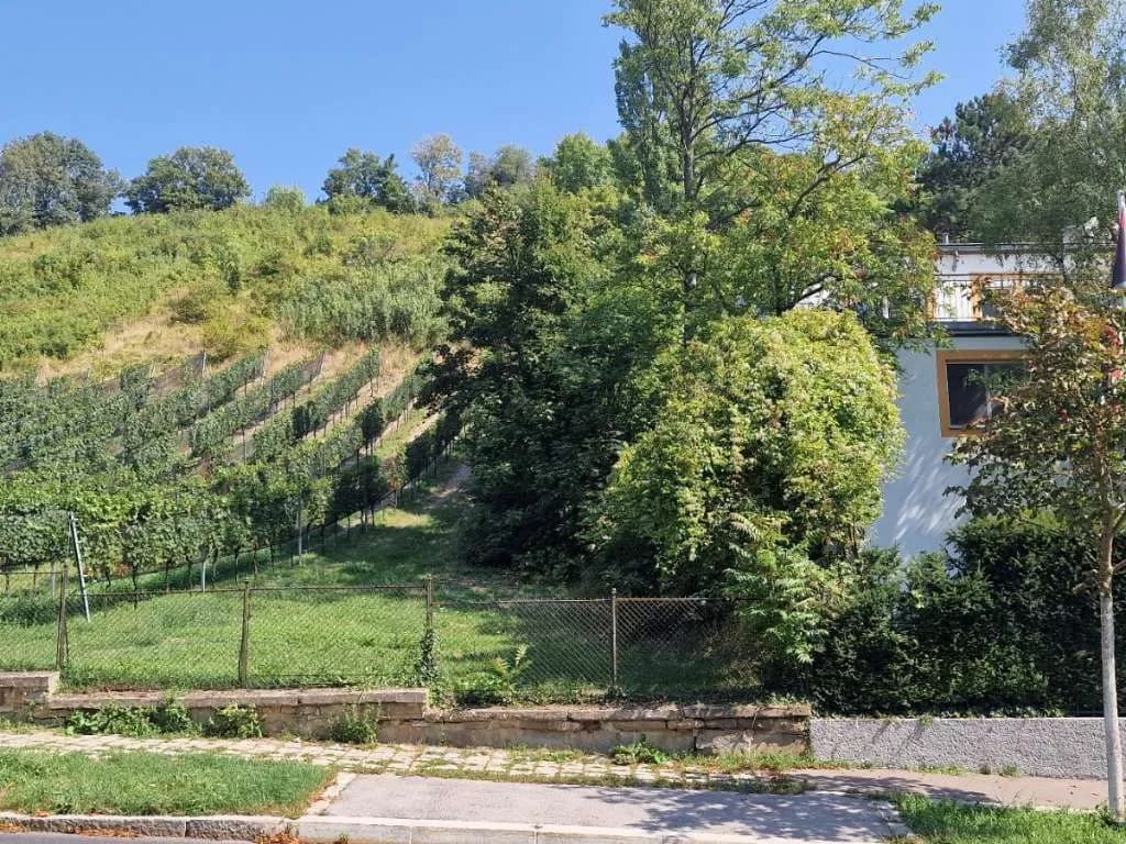 Immobilie kaufen in Wien – 600 m², € 4.900.000 – Bild 6 von 13
