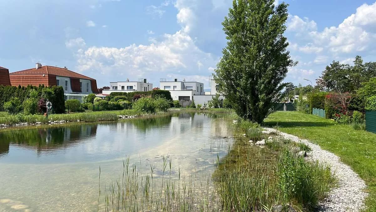 4-Zimmer-Haus kaufen in Wiener Neustadt Land – 140 m², € 398.000 – Bild 6 von 16