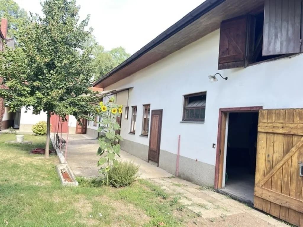 4-Zimmer-Immobilie mieten in Neusiedl am See – 160 m², € 1.350 – Bild 3 von 13