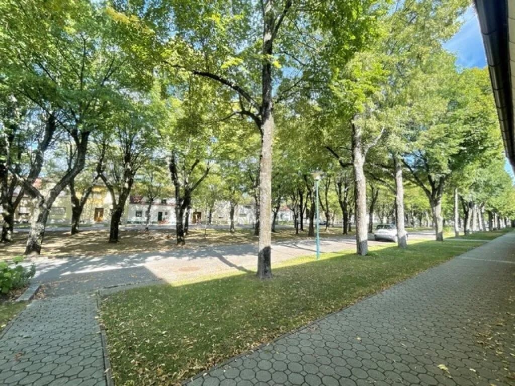 4-Zimmer-Immobilie mieten in Neusiedl am See – 160 m², € 1.350 – Bild 13 von 13