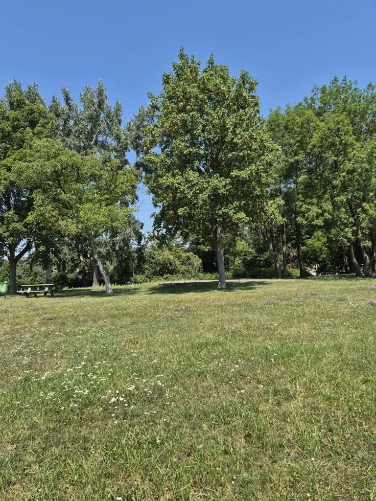3-Zimmer-Wohnung mieten in Sankt Pölten Land – 65 m², € 799 – Bild 17 von 18