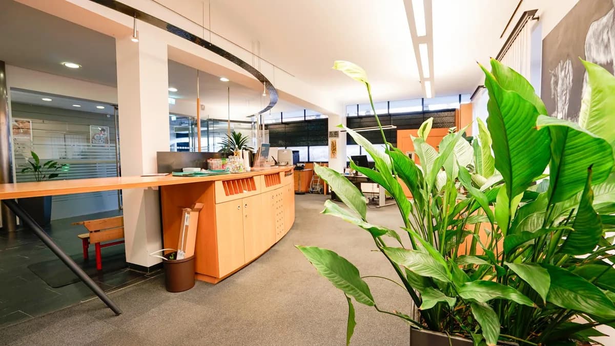 Immobilie mieten in Innsbruck – 234 m² – Bild 7 von 14