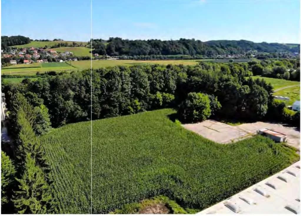 Immobilie kaufen in Südoststeiermark – 5 000 m² – Bild 5 von 10