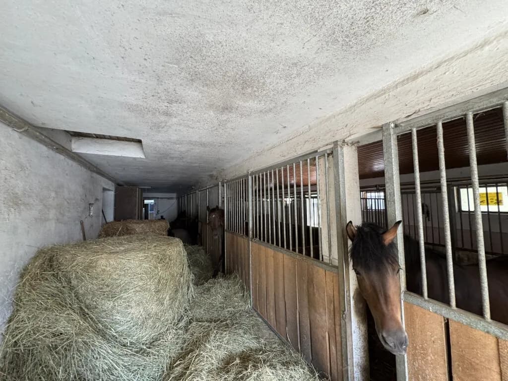 4-Zimmer-Grundstück kaufen in Südoststeiermark – 324,18 m², € 1.290.000 – Bild 7 von 70