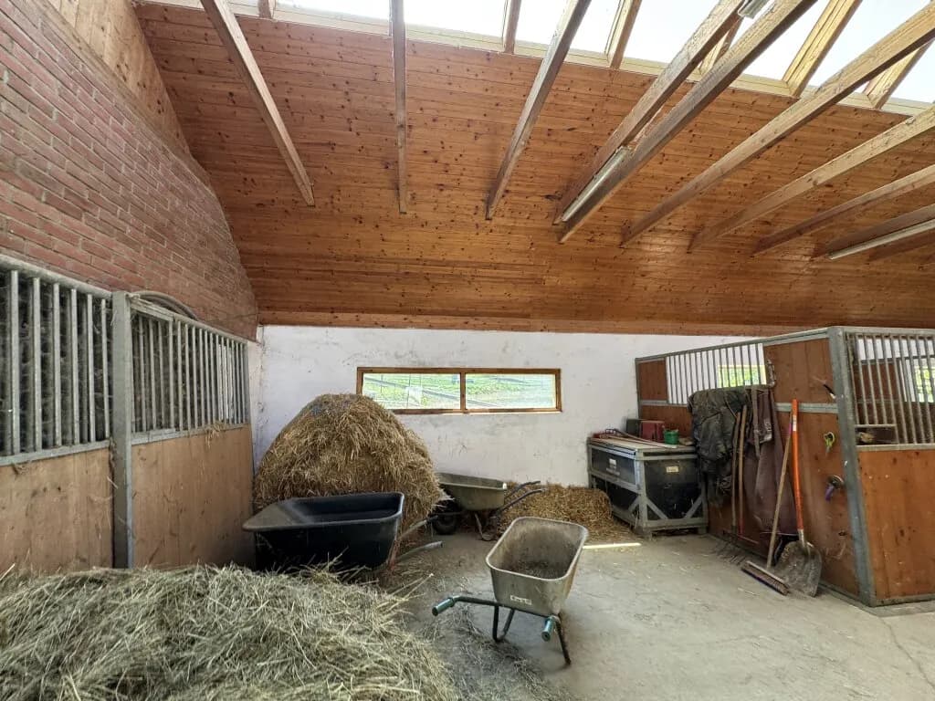 4-Zimmer-Grundstück kaufen in Südoststeiermark – 324,18 m², € 1.290.000 – Bild 43 von 70