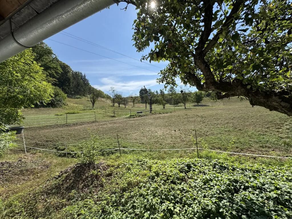 4-Zimmer-Grundstück kaufen in Südoststeiermark – 324,18 m², € 1.290.000 – Bild 46 von 70
