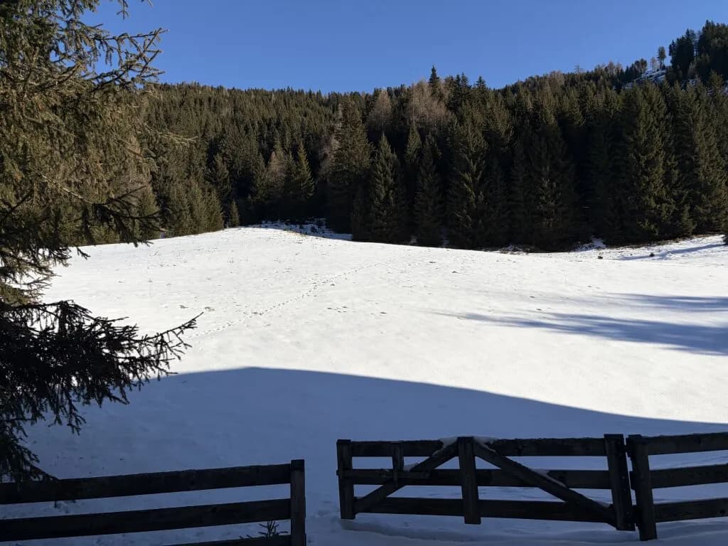 Wohnung kaufen in Spittal an der Drau – 2 400 m², € 990.000 – Bild 6 von 13
