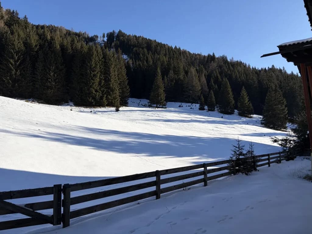 Wohnung kaufen in Spittal an der Drau – 2 400 m², € 990.000 – Bild 8 von 13