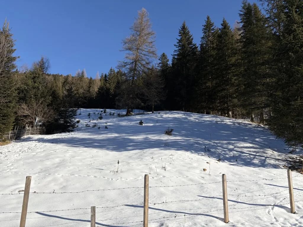 Grundstück kaufen in Spittal an der Drau – 919 m², € 340.000 – Bild 2 von 3