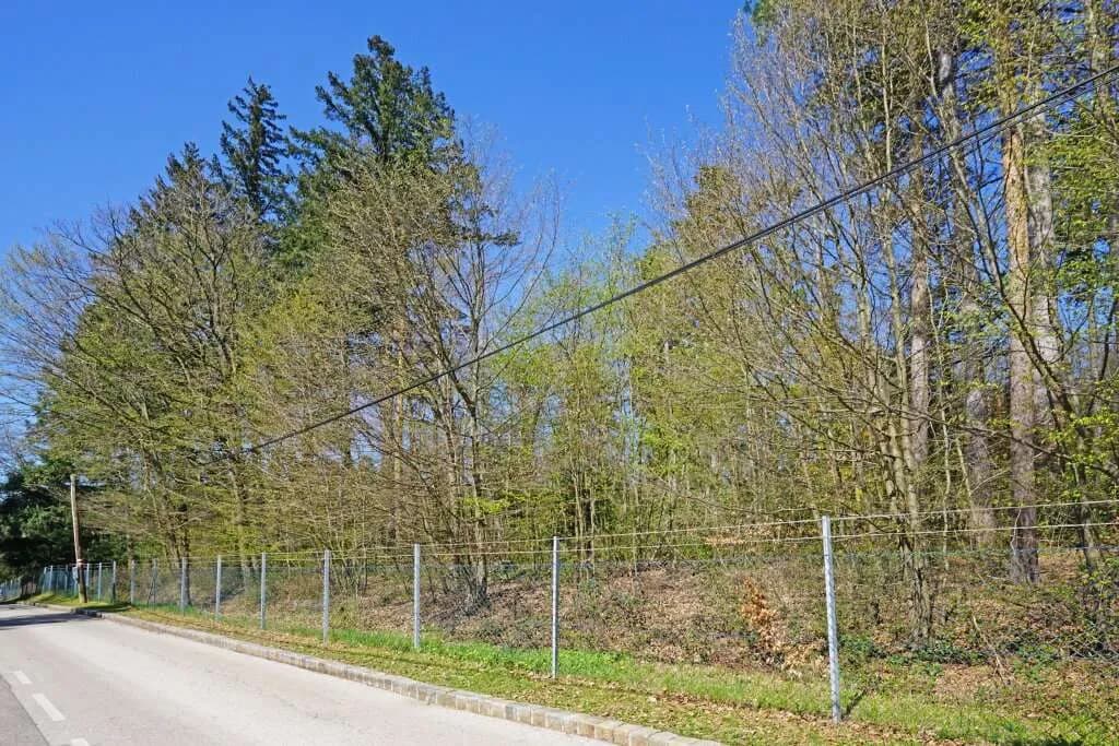 Immobilie kaufen in Wien – 757 m², € 990.000 – Bild 5 von 11