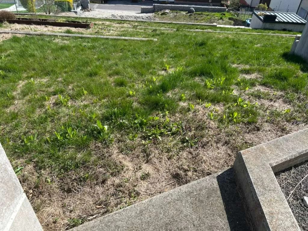 Grundstück kaufen in Mattersburg – 1 060 m², € 88 – Bild 4 von 10