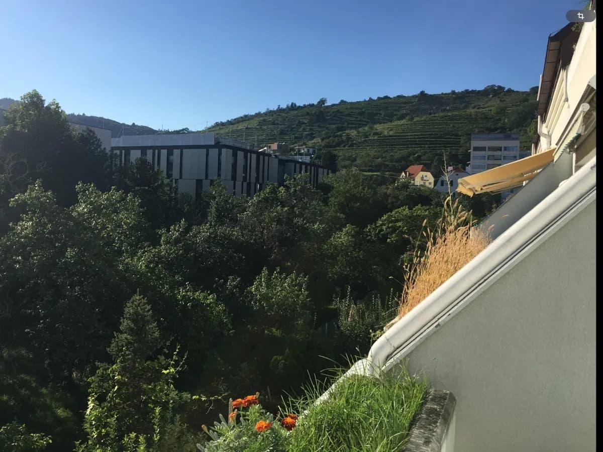1-Zimmer-Wohnung mieten in Krems an der Donau – 40 m², € 693 – Bild 25 von 27