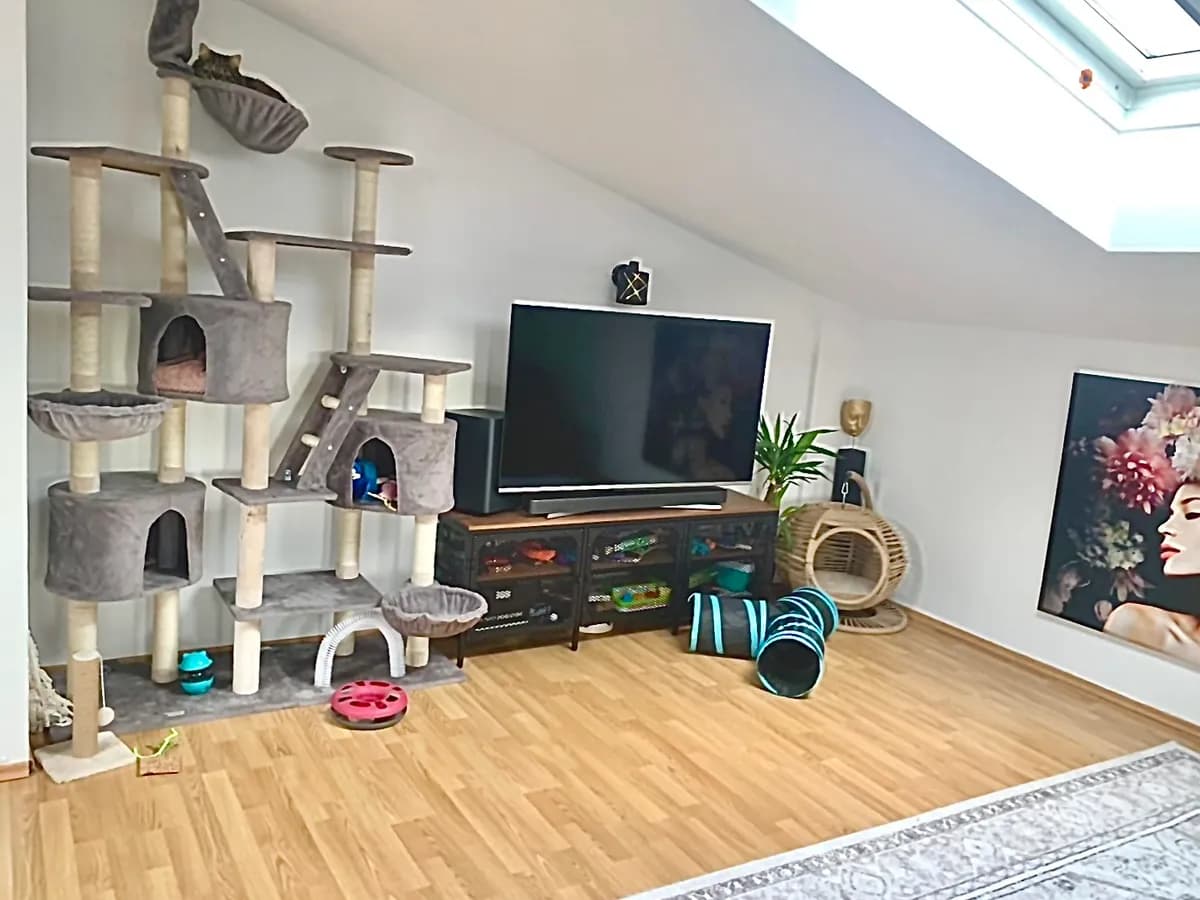 2-Zimmer-Wohnung mieten in Salzburg-Umgebung – 65 m², € 1.098 – Bild 6 von 12