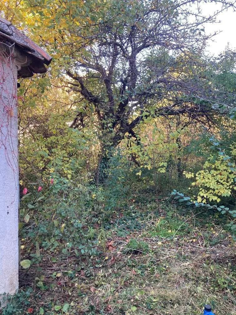 6-Zimmer-Immobilie kaufen in Hollabrunn – 150 m², € 194.000 – Bild 28 von 30