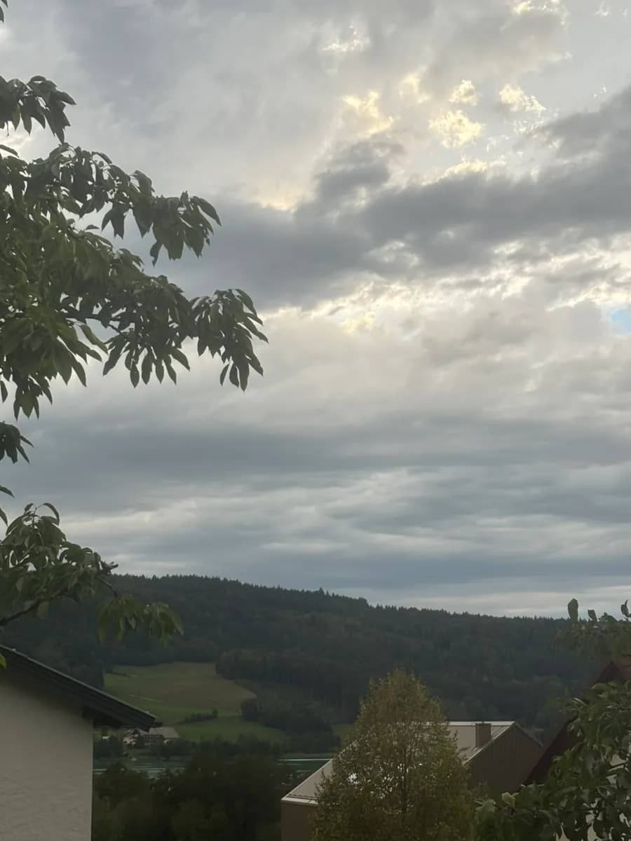 2-Zimmer-Wohnung mieten in Vöcklabruck – 80 m², € 1.100 – Bild 8 von 9