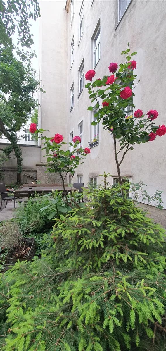 Wohnung kaufen in Wien – 65 m², € 775.000 – Bild 2 von 3