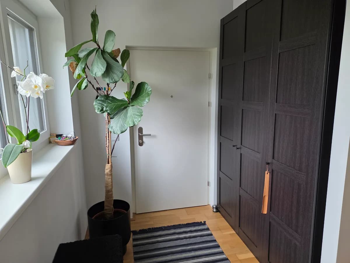 2-Zimmer-Wohnung mieten in Braunau am Inn – 64 m², € 990 – Bild 4 von 14