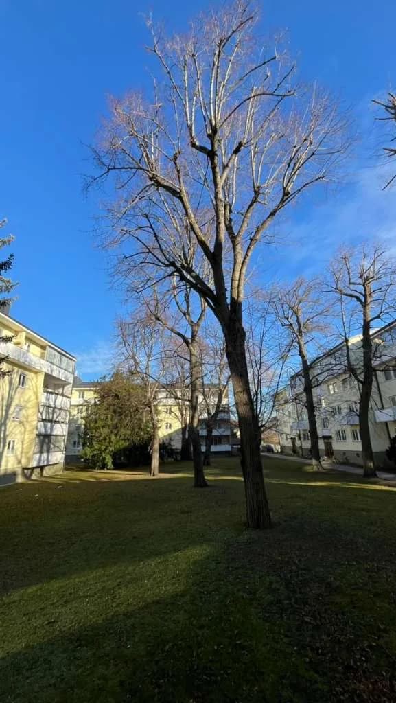 3-Zimmer-Wohnung kaufen in Baden – 101 m², € 329.990 – Bild 13 von 15