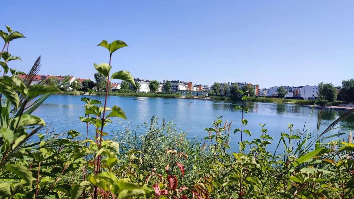 2-Zimmer-Wohnung kaufen in Mödling – 55 m², € 327.000 – Bild 8 von 8